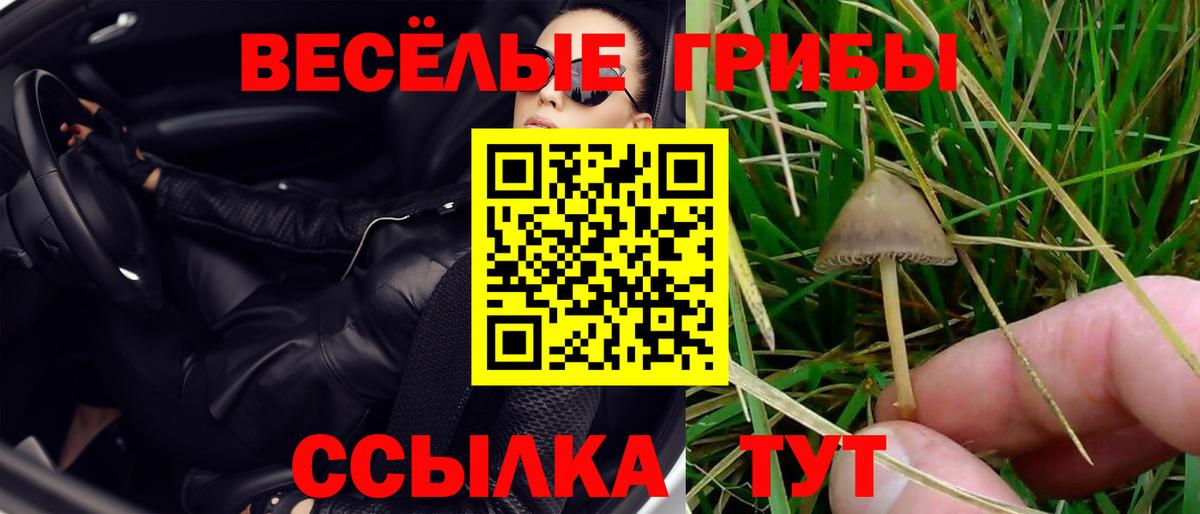 Галлюциногенные грибы мухоморы  цена   Анжеро-Судженск  Вход с VPN 